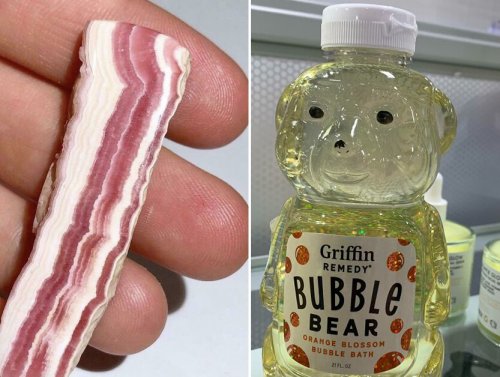 Despite their appearance, you can’t have any of this “Forbidden Food” (27 Photos) 1