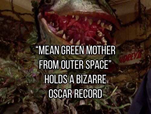 Lend me your ears for these movie soundtrack facts on Chive Trivia tonight (11 GIFs) 1