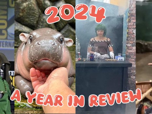 I can’t believe ALL of these things happened in 2024 (22 Photos) 1