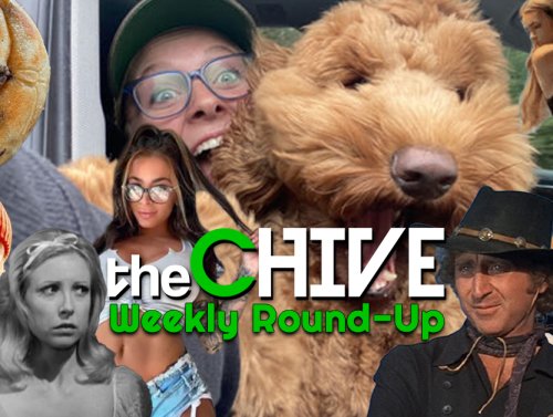 ICYMI: theChive Weekly Round-Up 1