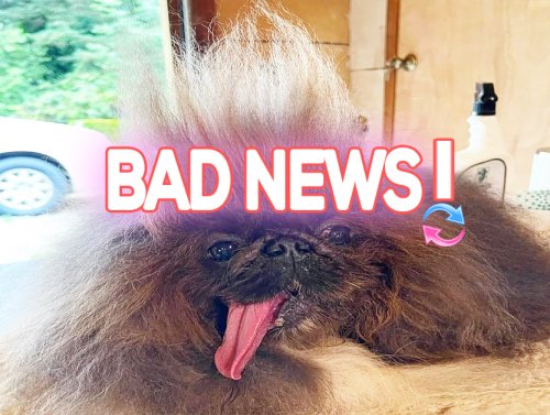 Enjoyable day? How about some bad news PLUS ugly animals? (21 Photos) 1