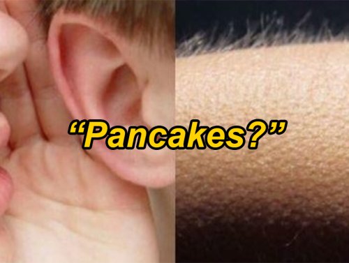 People reveal the hottest things ever whispered in their ear (20 GIFs) 1