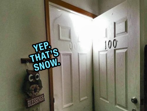 Wintery Photos & Funnies for a Southern Snow Day (28 Photos) 1