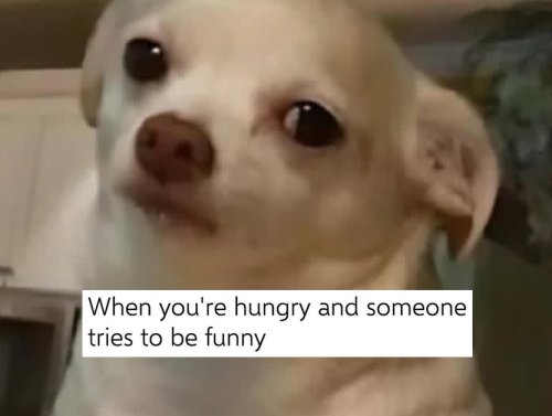 Memes that speak to your pettiest irritations (26 Photos) 1