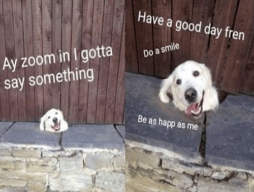 Wholesome Memes Will Keep Your Heart Warm (25 Photos) 1