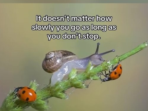 You Got This! Powerful Positivity for Big Friday Feels (32 Photos) 1