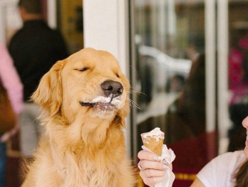 Isn’t This Why We’re All Here? (29 Photos) 1