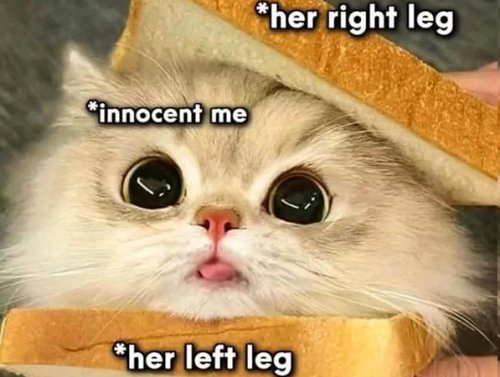 Dirty, Flirty Relationship Memes To S*xt Your Better Half With (32 Photos) 1