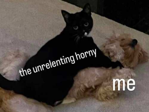 Enjoy A Fresh Batch of NSFW Memes, Because Therapy is Expensive (35 Photos) 1