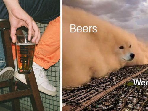 Drunken Memes That Probably Shouldn’t Drive Home on National Beer Day (30 Photos) 1
