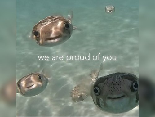 You’ve Got This! Powerful Positivity For Big Feels (32 Photos) 1
