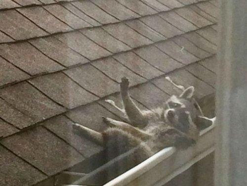 Neighbourhood Activity… (25 Photos) 1