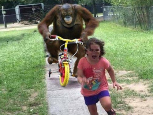 Schoolyard Urban Legends We Swore Were Real as Kids, But Vanished in Adulthood 1