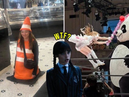 You’re Just in Time for WTF Wednesday! 1