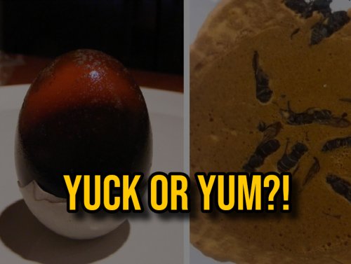 I’m Not Hungry Anymore… 12 Weird Foods from Around the World! 1
