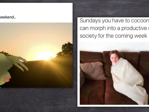 Sunday Morning Memes for People Refusing to Get Out of Bed This AM 1