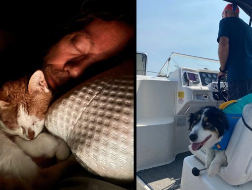 Dads Who Fell in Love with the Pets They ‘Never Wanted’ 1