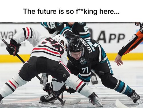 NHL Memes Are Torching the League Like Celebrini and Bedard 1