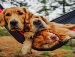 Weekend Afternoon Randomness 12